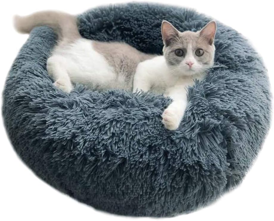 Paw™ - Animal kennel