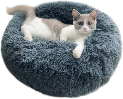 Paw™ - Animal kennel